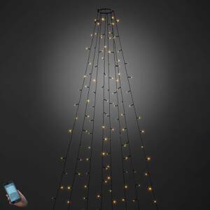 Konstsmide Christmas Venkovní plášť stromu LED ovládaný aplikací 240-flg.