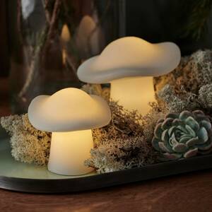 Sirius Dekorativní světlo LED houba sada 2 kusů